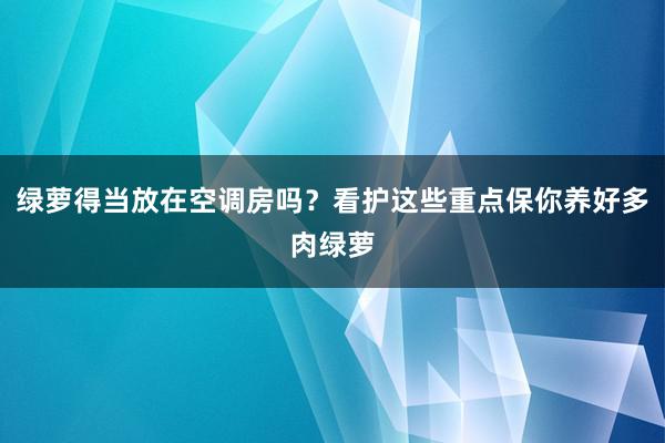 绿萝得当放在空调房吗？看护这些重点保你养好多肉绿萝